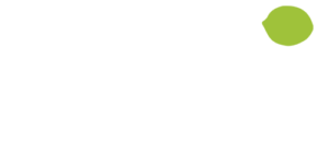 split_logo4
